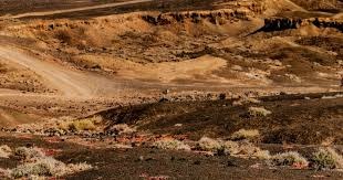 突发！达伦·弗莱彻预计将出任曼联临时主帅！[@David_Ornstein] #mufc 来源：The United Stand突发！达伦·弗莱彻预计将出任曼联临时主帅！[@David_Ornstein] #mufc 来源：The Unit